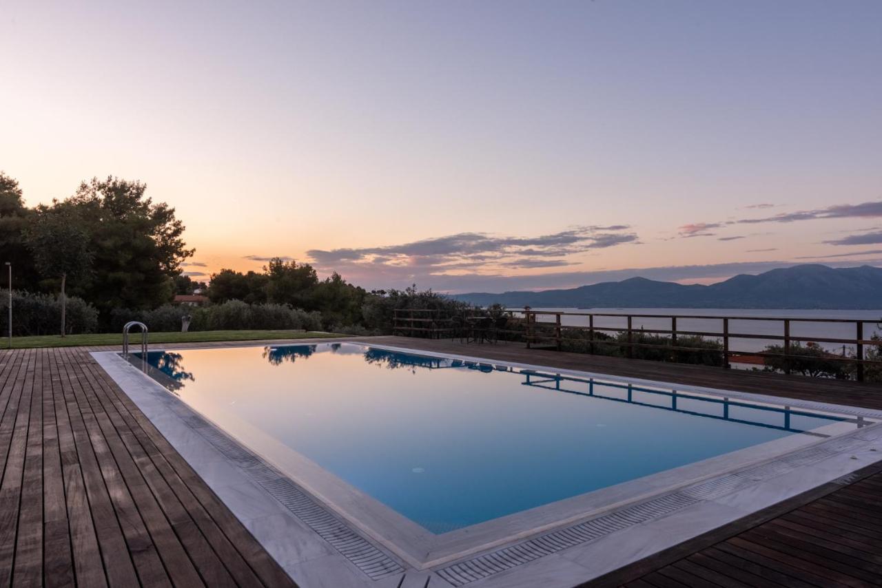 Villa Kalamos / Sea View And Pool Nearby Athens Exteriör bild