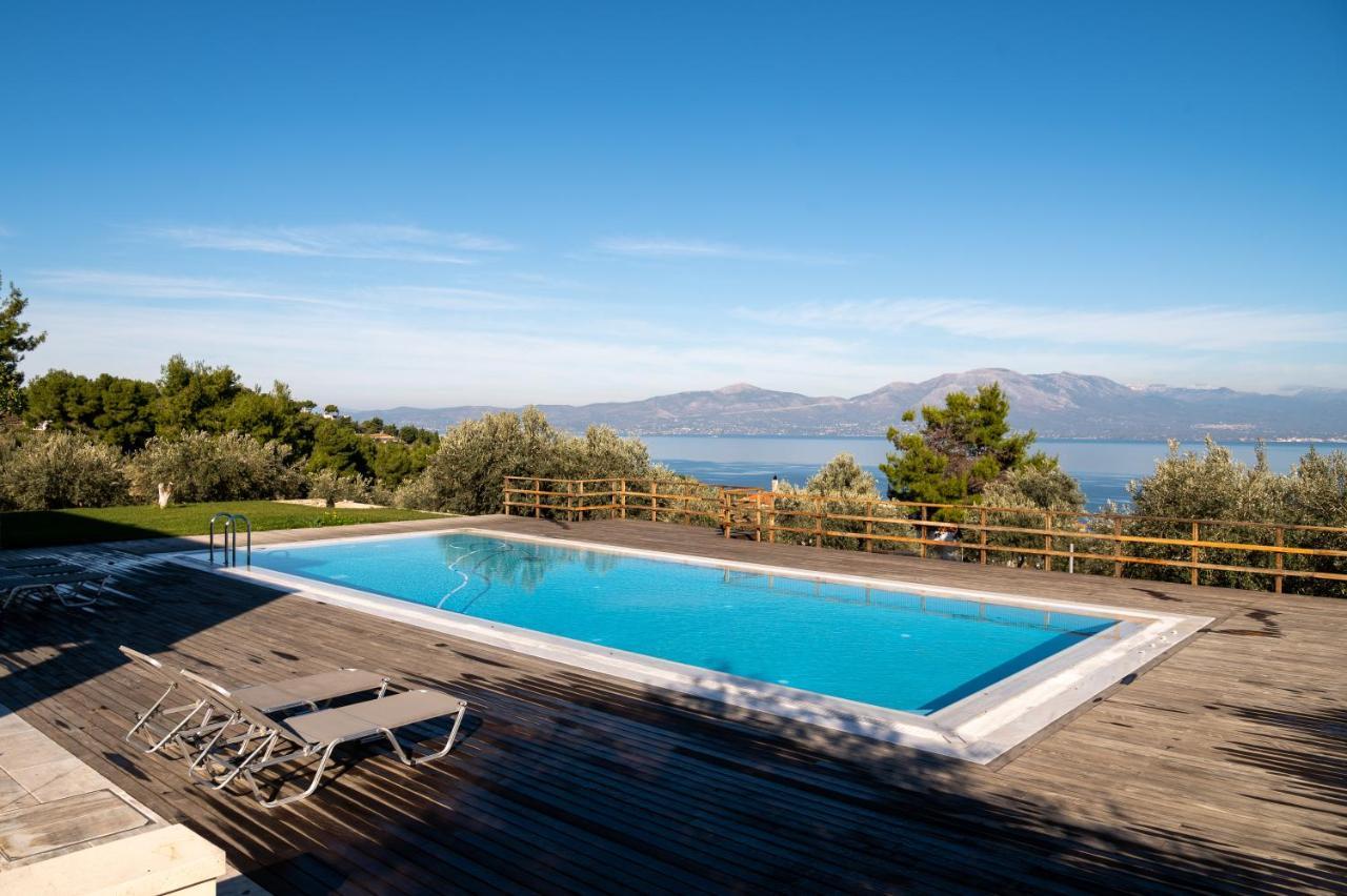 Villa Kalamos / Sea View And Pool Nearby Athens Exteriör bild