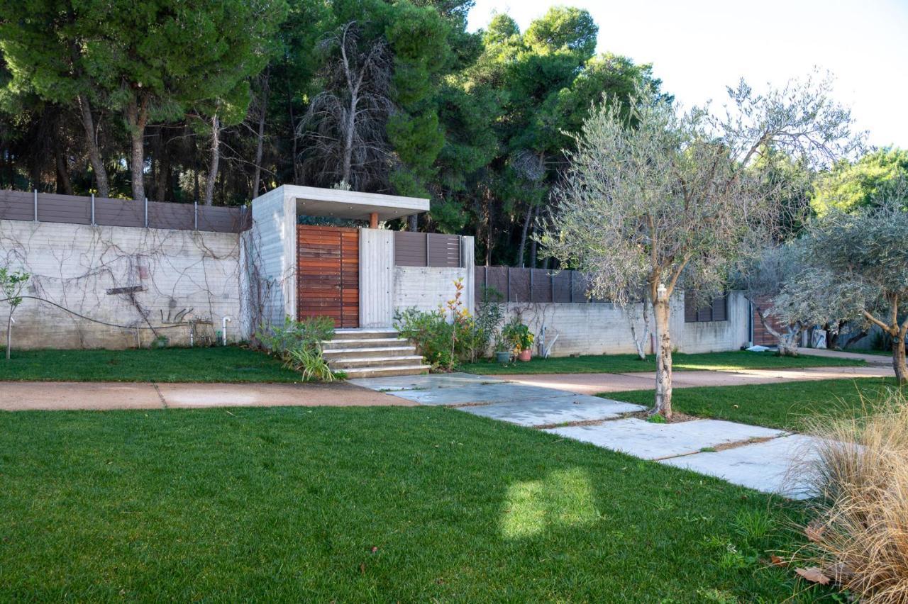 Villa Kalamos / Sea View And Pool Nearby Athens Exteriör bild