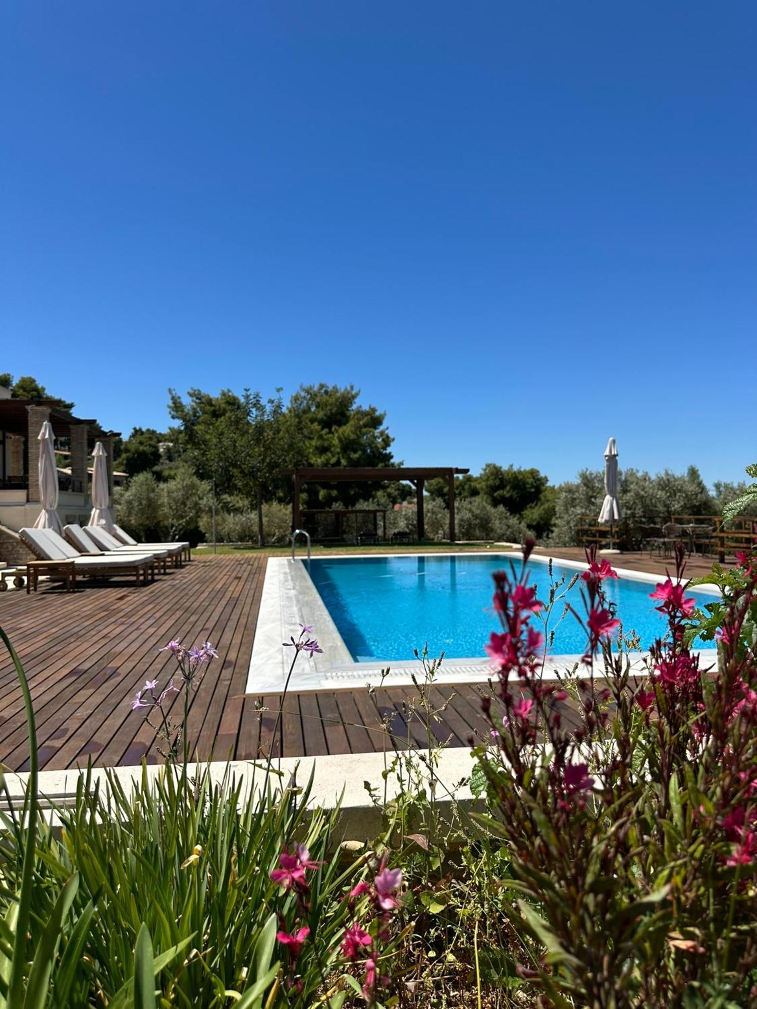 Villa Kalamos / Sea View And Pool Nearby Athens Exteriör bild